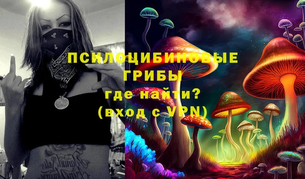 мяу мяу мука Белокуриха
