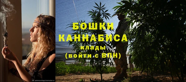 мяу мяу мука Белокуриха