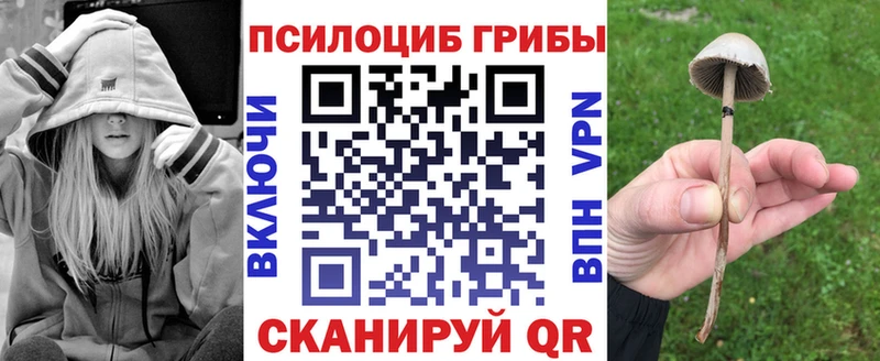 Псилоцибиновые грибы Magic Shrooms  Яблоновский 